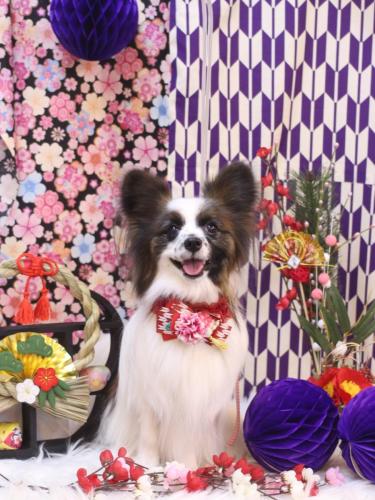 20250105マリーちゃん